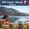 Michael Nash - Bendemeers Stream