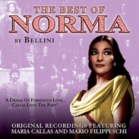 The Best Of Norma - The Opera Masters Series - Verschiedene Interpret:innen