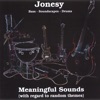 Meaningful Sounds (with Regard to Random Themes)