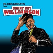 Sonny Boy Williamson - Open Road