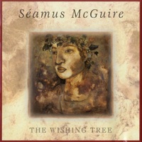 The Wishing Tree by Séamus McGuire on Apple Music