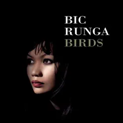 Birds - Bic Runga