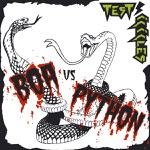 Test Icicles - Boa vs. Python