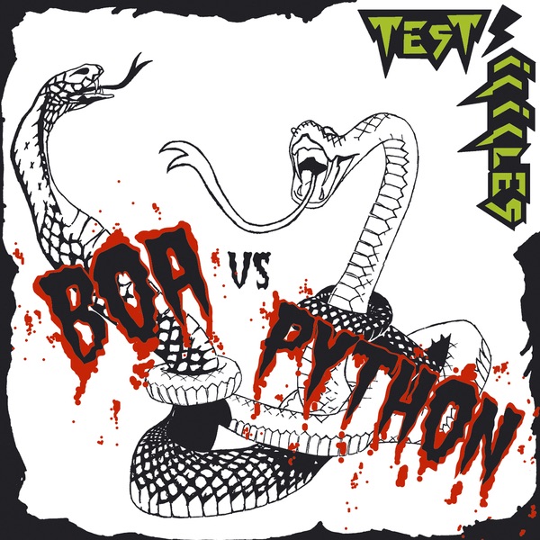 Boa vs. Python artwork