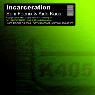 Incarceration - Single
