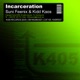 Incarceration Single