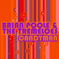 Brian Poole & The Tremeloes - Three Bells