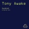Awaked - Tony Awake lyrics