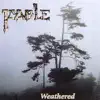 Fable - Roses for No Reason