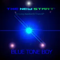 Remember Me (Original Mix) — Blue Tone Boy