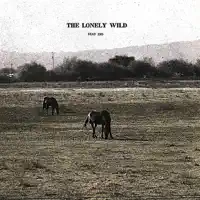 Right Side of the Road — The Lonely Wild