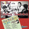 The Fabulous Thunderbirds