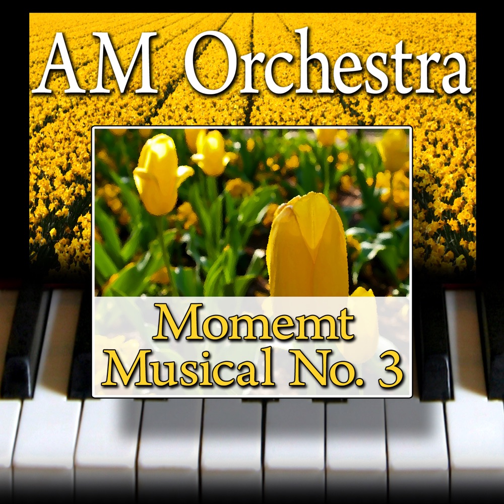 Обложка альбома «Moment Musical No. 3 - Single» — AM Orchestra