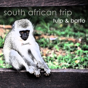South African Trip (Johnny & Jeff Remix)