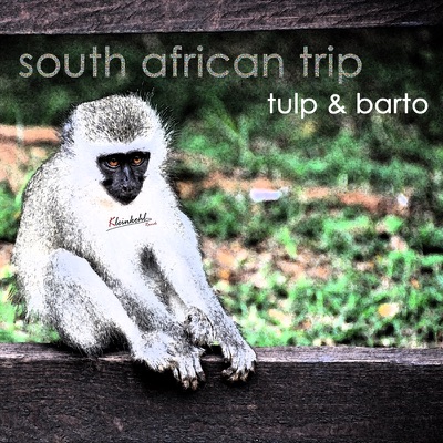 South African Trip - Single