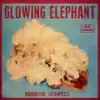 Glowing Elephant - Groovy Groovy