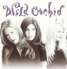Wild Orchid, David Frank & Joey Moskowitz - Talk To Me