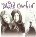  - WILD ORCHID