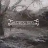 Immortal Souls - Nuclear Winter