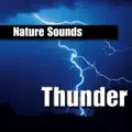 Thunder Storm