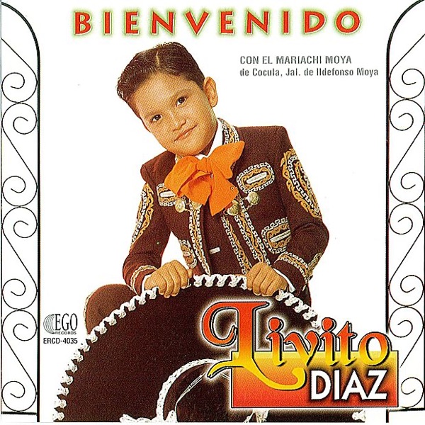 Bienvenido artwork