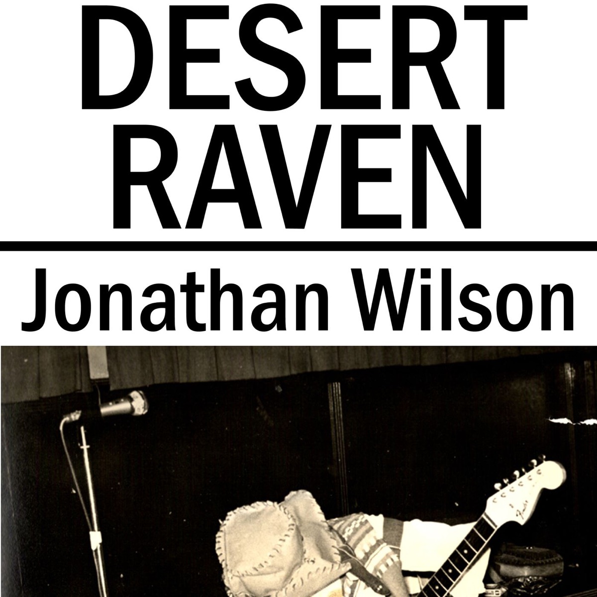 Desert Raven cover