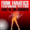 Funk Fanatics - Love Is the Answer