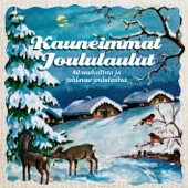 Varpunen Jouluaamuna (Sparven På Julmorgonen) artwork