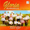 Blaskapelle Gloria - Love Story (slow) [Solist: Vojta Novotny - Trompete]