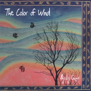 Color of Wind