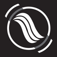 She Bounces - Single - Fady Ferraye