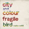 Fragile Bird (Radio Edit)