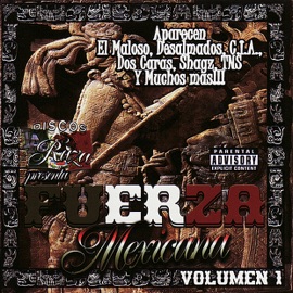 Es Tiempo TNS & El Maloso