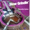 Slow Grindin' - Theodis Ealey lyrics