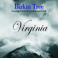 Virginia (Bonus Track Version) by Birkin Tree on Apple Music