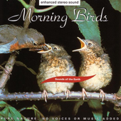 Sounds of the Earth: Morning Birds