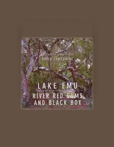 Écoutez David Lumsdaine, regardez des vidéoclips, lisez la biographie, consultez les dates de tournée et plus encore !