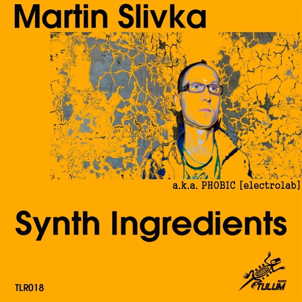 Synth Ingredients - Single