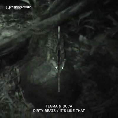 Dirty Beats / Its´like that - Single