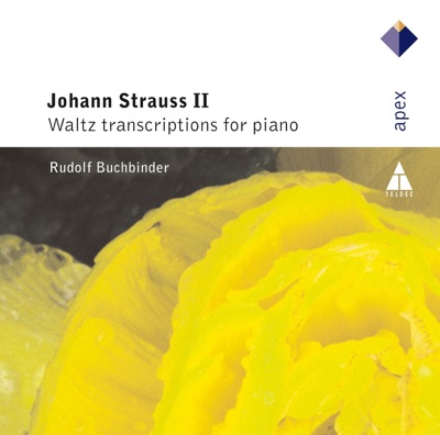Strauss II: Waltz Transcriptions for Piano