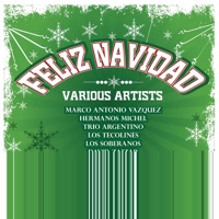 Trio Hermanos Michel - Llorarás en Navídad