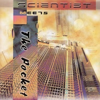 Scientist Meets The Pocket - Scientist & The Pocket