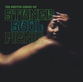STONED SOUL PICNIC - Erotic Cakes