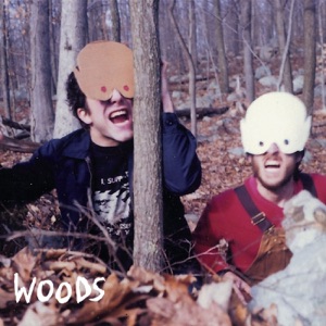 How to Survive In - In the Woods