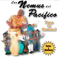 El Hombre Misterioso — Los Nemus del Pacífico