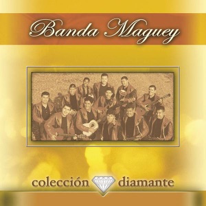 Colección Diamante: Banda Maguey
