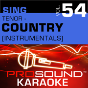 You And I (Karaoke Instrumental Track) [In the Style of Eddie Rabbit] - ProSound Karaoke Band