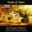 Autumn Forest (Nature Sounds) - Single