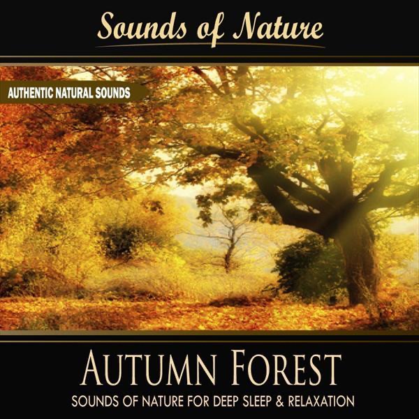 Autumn Forest (Nature Sounds) - Single