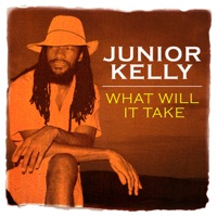 What Will It Take - Junior Kelly